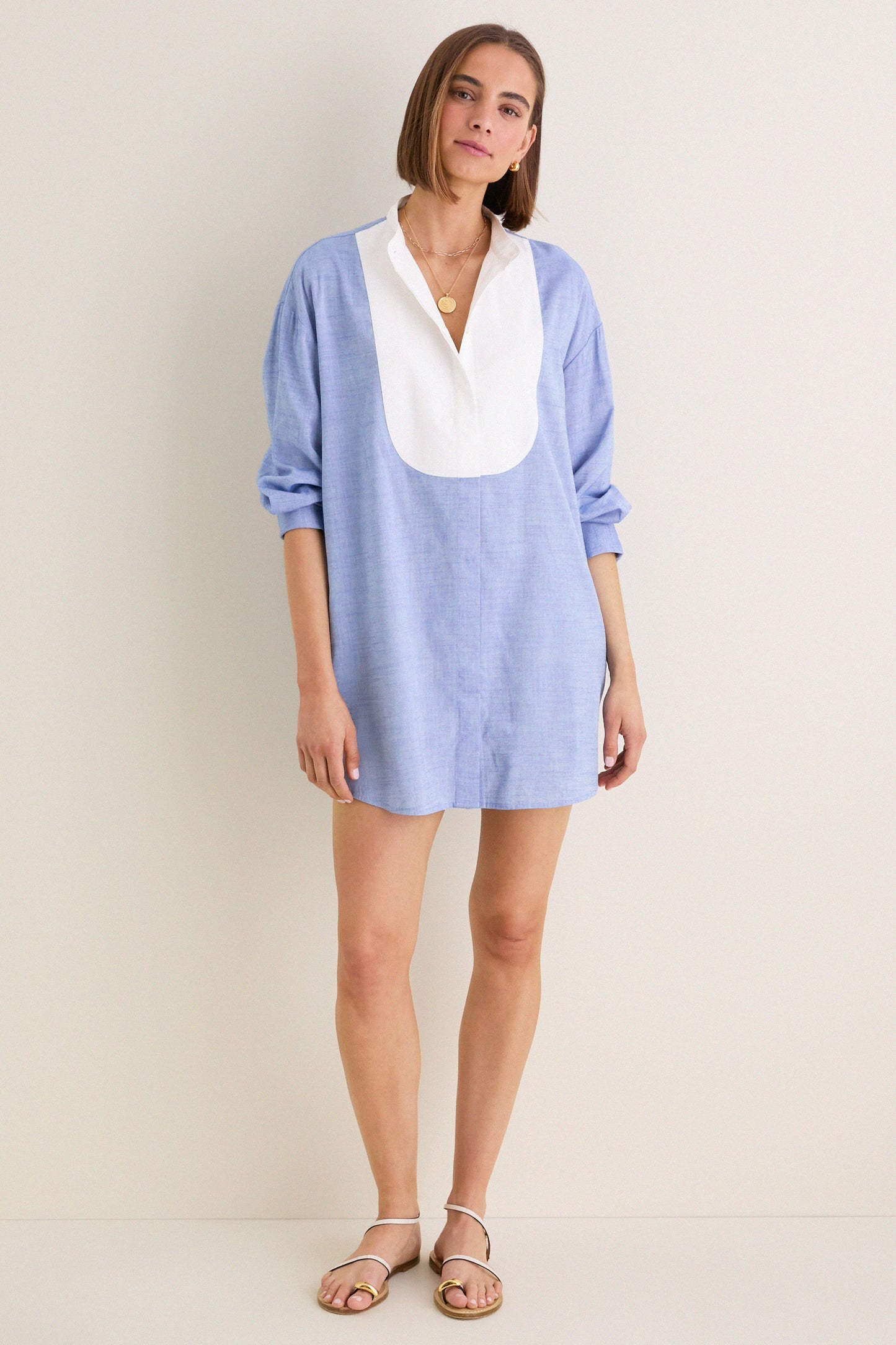 Chambray Arlington Shirt Dress
