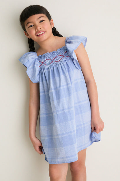 Chambray Natasha Dress