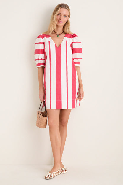 Carousel Stripe Mica Mini Dress