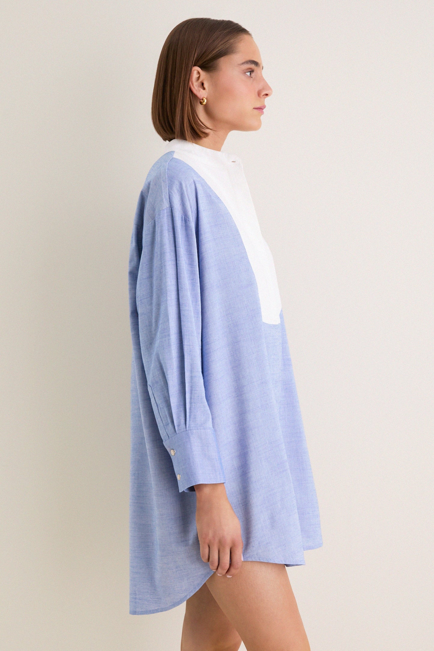 Chambray Arlington Shirt Dress