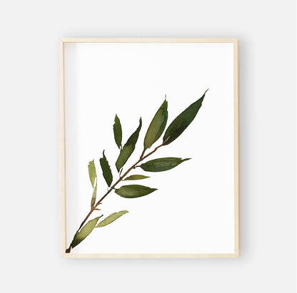 Olive Leaf Digital Nursery Art Print Group