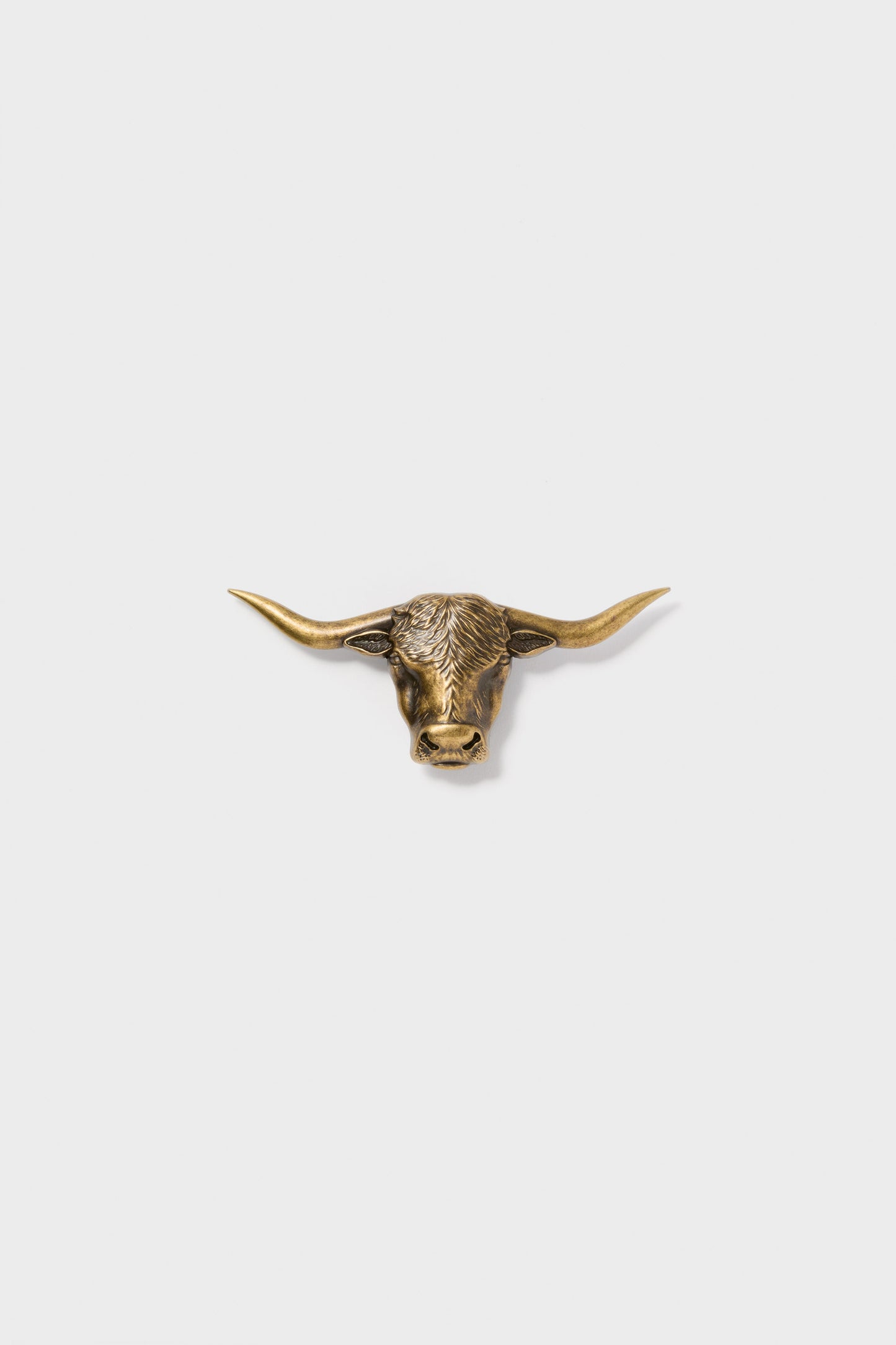 Brass Lansing Longhorn Buckle