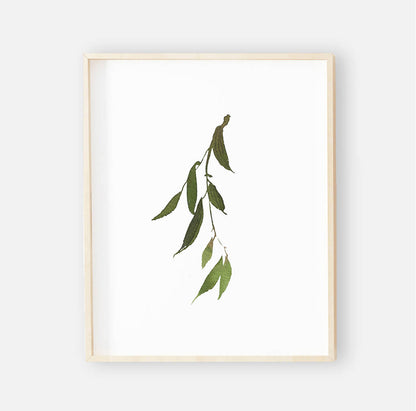 Olive Leaf Digital Nursery Art Print Group